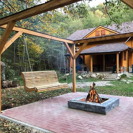 Chalet By The River Văliug Extérieur photo