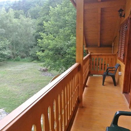 Chalet By The River Văliug Extérieur photo