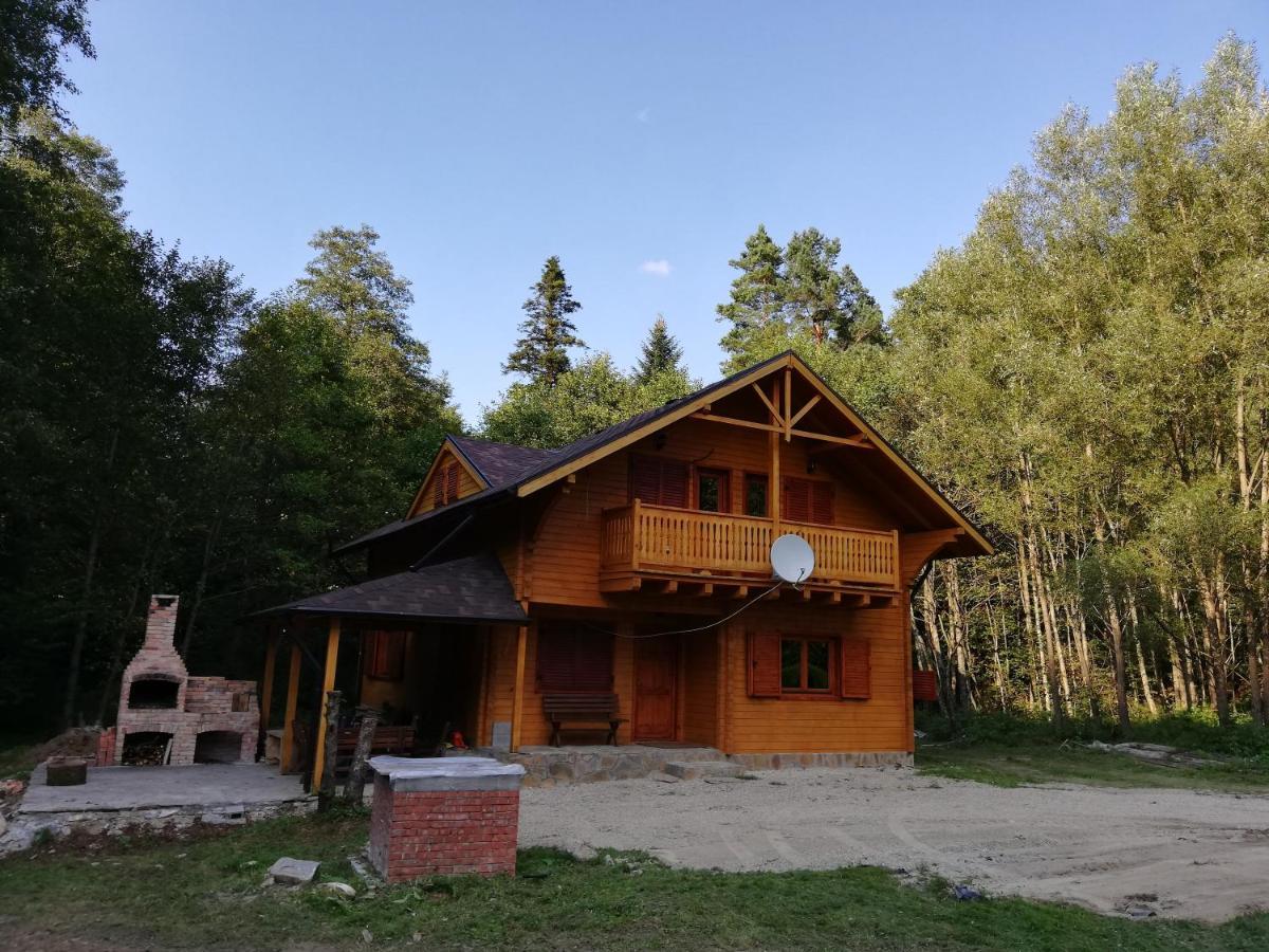 Chalet By The River Văliug Extérieur photo