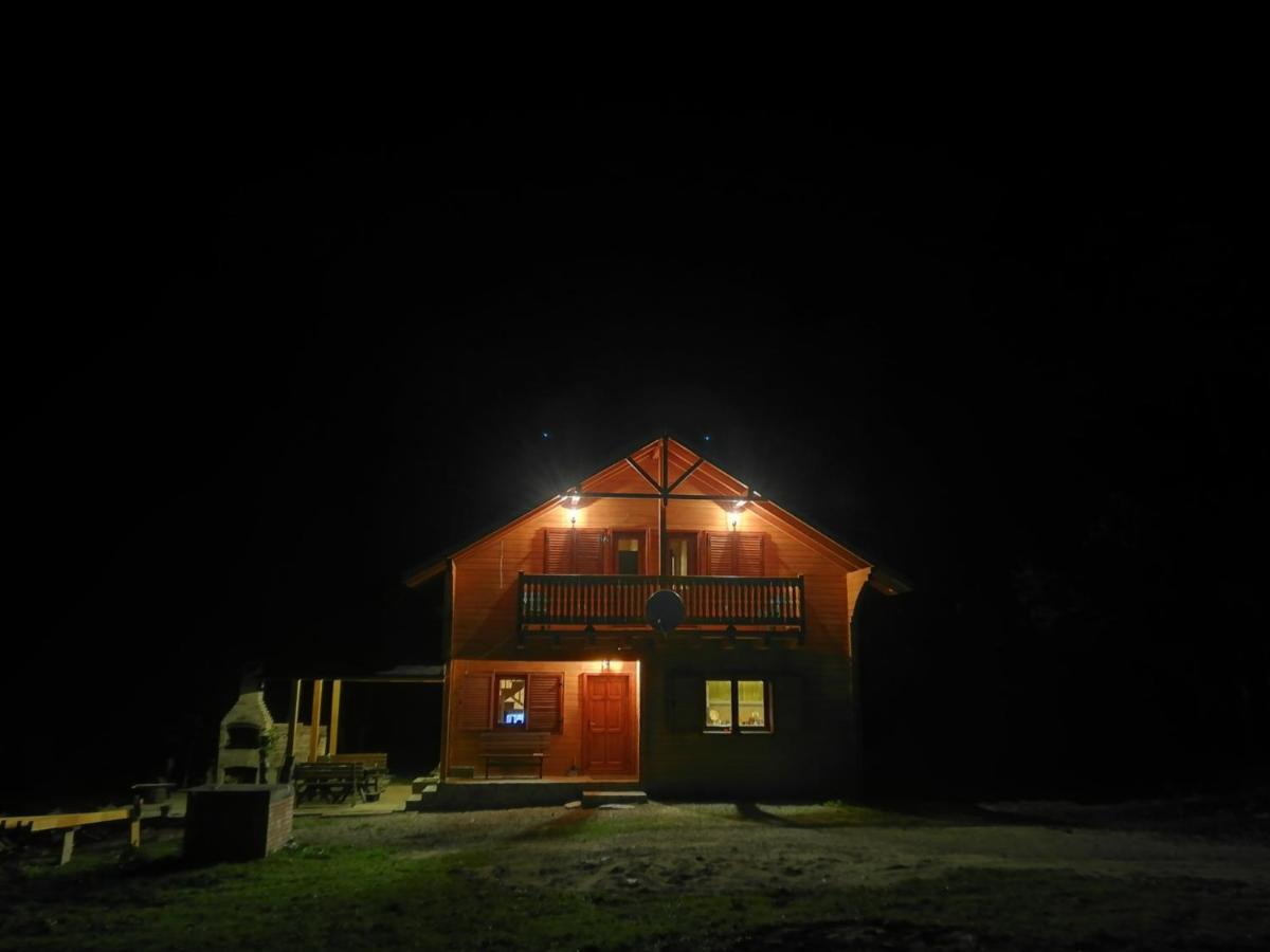 Chalet By The River Văliug Extérieur photo