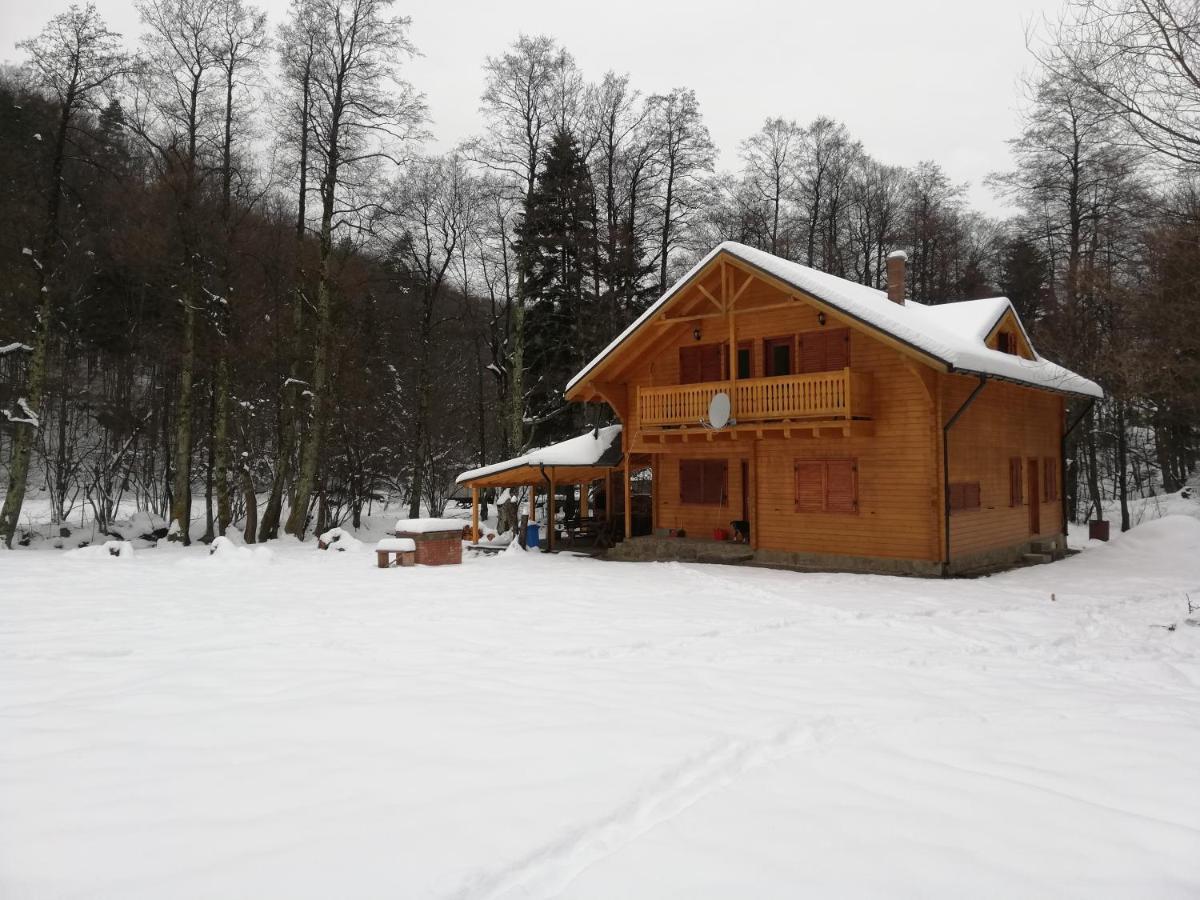 Chalet By The River Văliug Extérieur photo