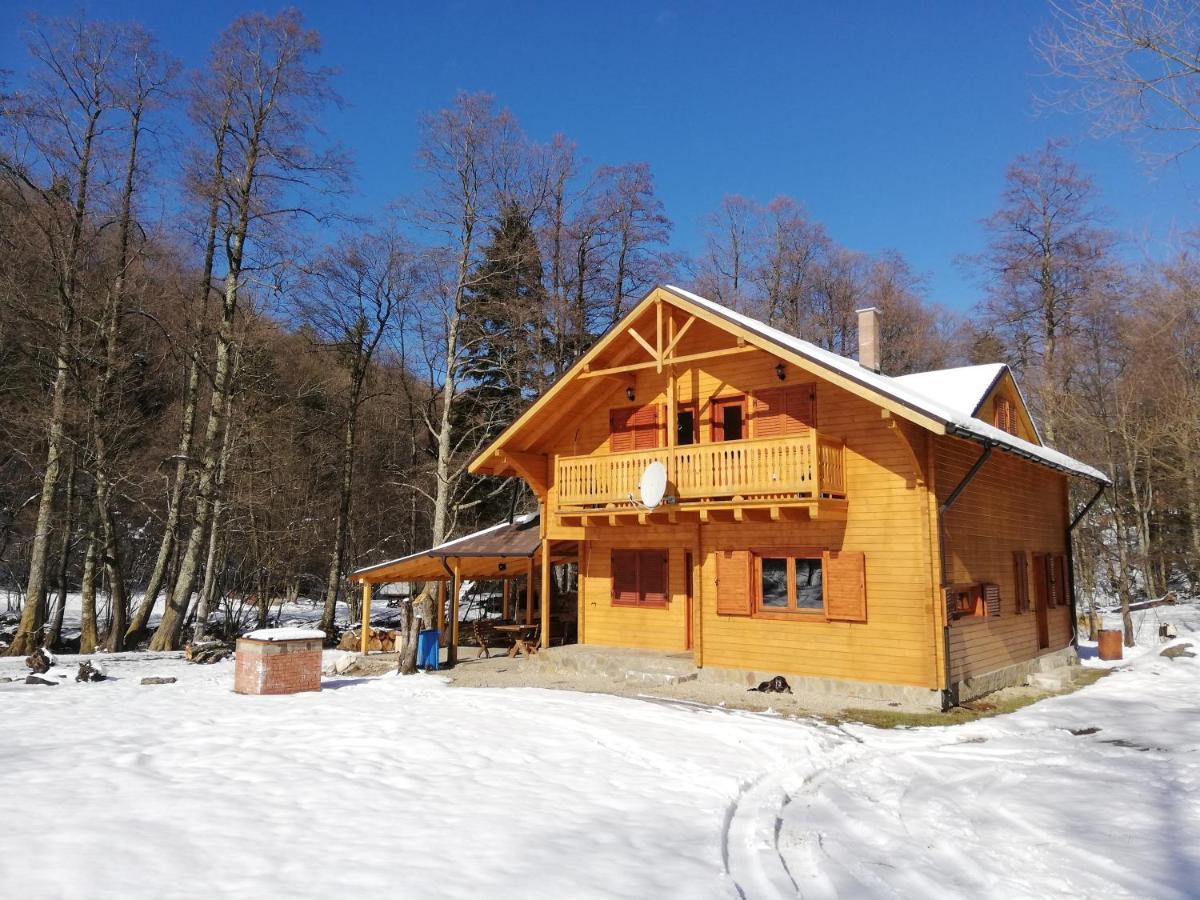 Chalet By The River Văliug Extérieur photo