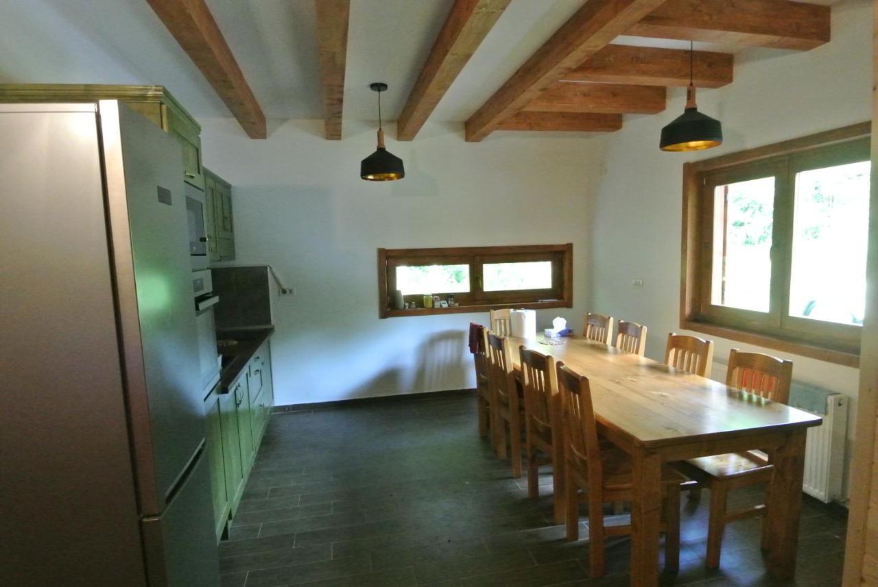 Chalet By The River Văliug Extérieur photo