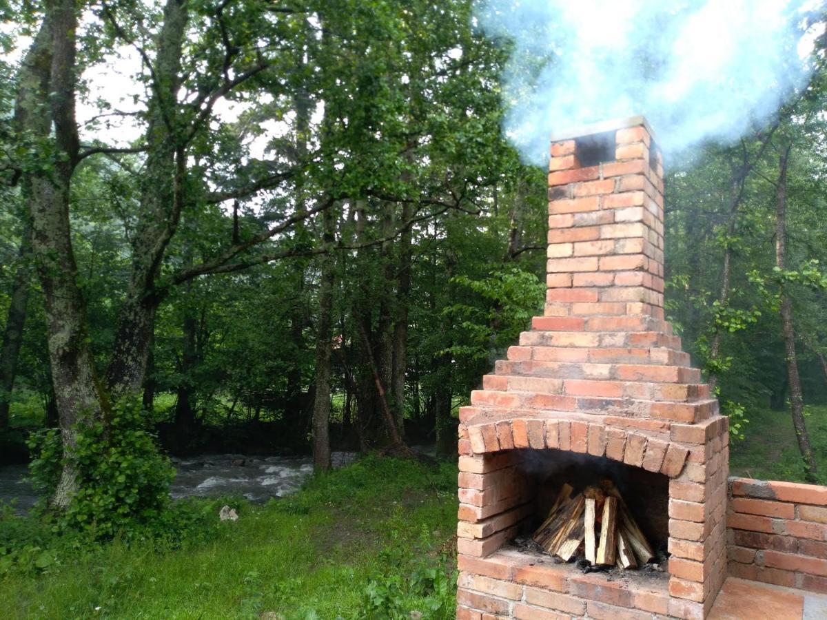 Chalet By The River Văliug Extérieur photo