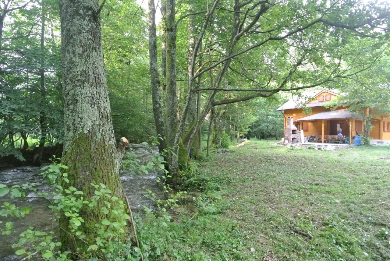 Chalet By The River Văliug Extérieur photo