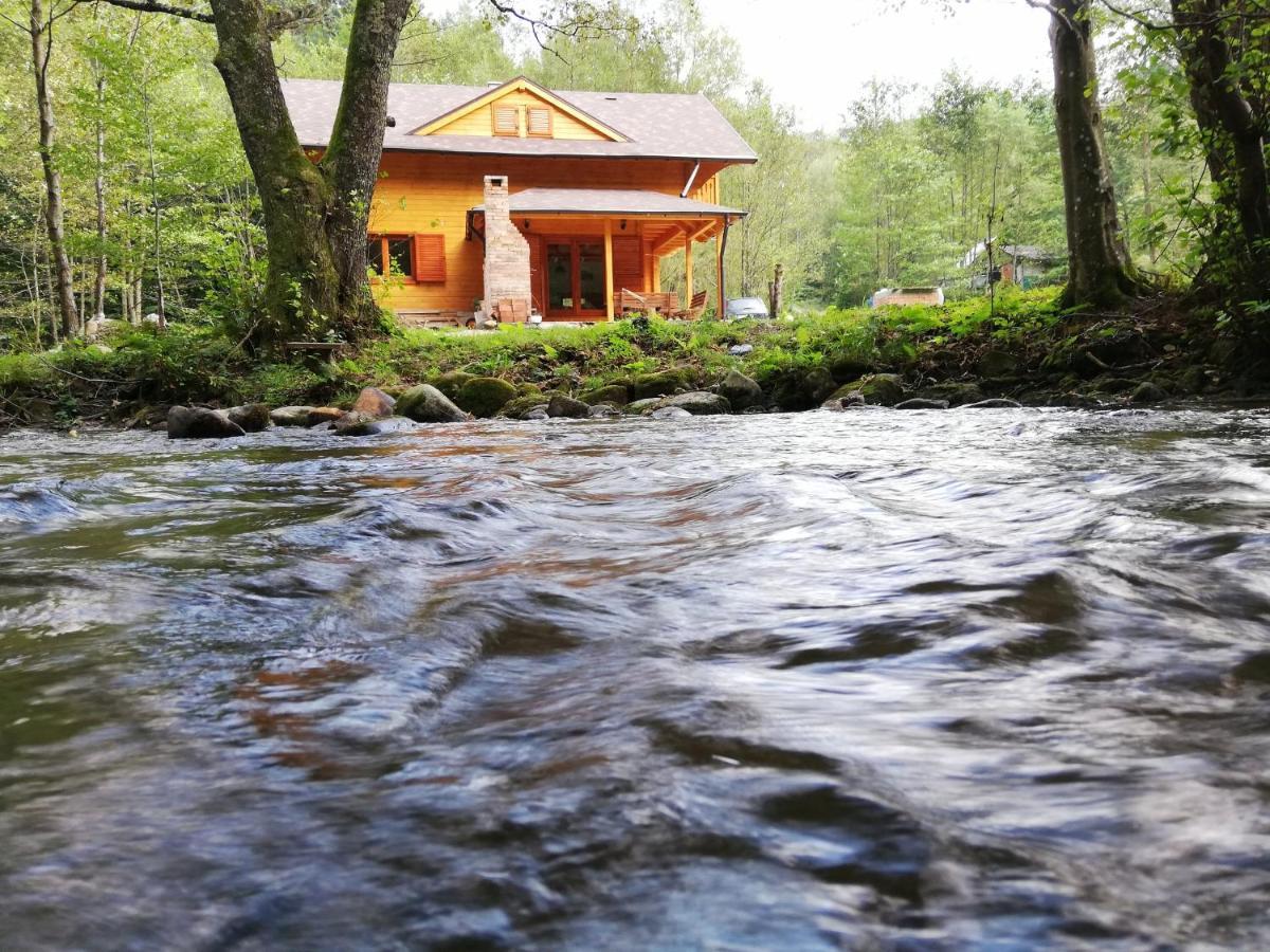 Chalet By The River Văliug Extérieur photo