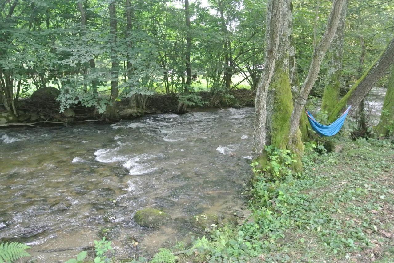 Chalet By The River Văliug Extérieur photo