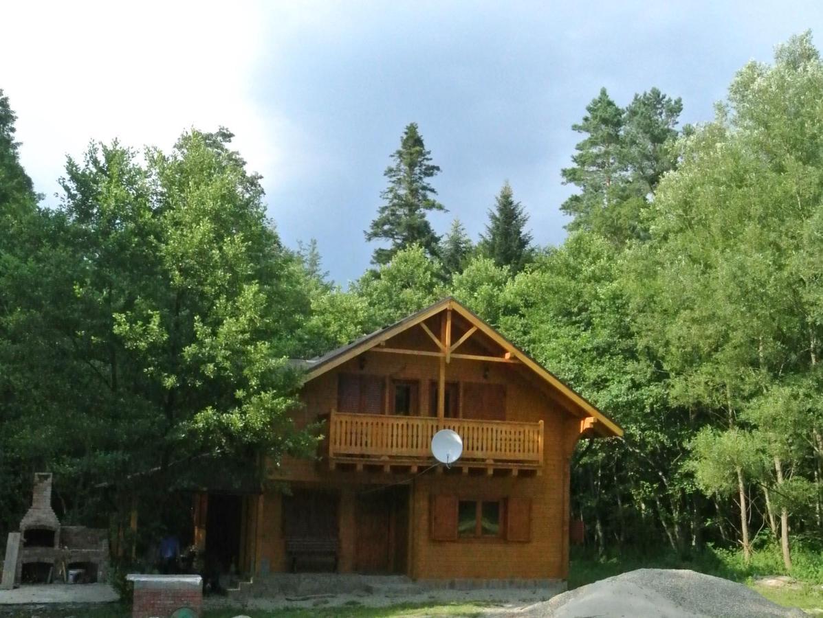 Chalet By The River Văliug Extérieur photo
