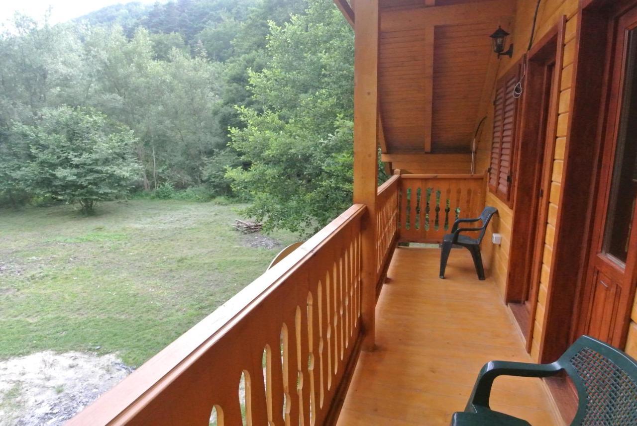 Chalet By The River Văliug Extérieur photo